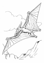 Dinosaurier:
                                Pteraranodon, Flugechse
