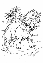 Dinosaurier:
                            Triceratops mit 3 H�rnern