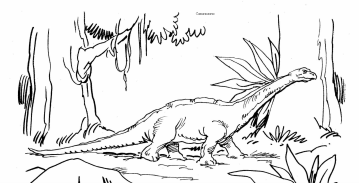 Dinosaurier: Camarasaurus 2