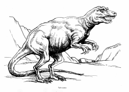 Dinosaurier: Tarbosaurier /
Tarbosaurus Dinosaurier:
Tarbosaurier / Tarbosaurus