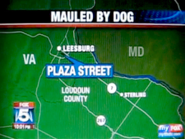 El
                        caso de Carter Patrick Ridge Delaney (01), el
                        mapa con su lugar Leesburg en Virginia (VA)
                        cerca de Maryland (MD)