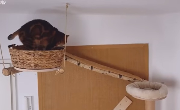 Katze in der Wohnung: Baumlandschaft an
                    Zimmerwand mit Hochsitz "sch�ne Aussicht"
