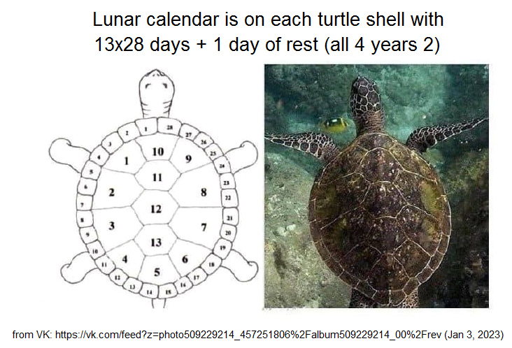 Jan 3, 2023: Lunar
                              calendar with 13x28 days is on each turtle
                              shell - photos only