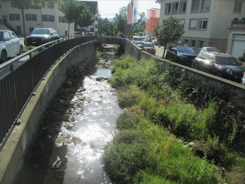 K�snacht (Cantone di Zurigo), qui
                    il torrente del villaggio � stato rinaturalizzato
                    almeno in una certa misura