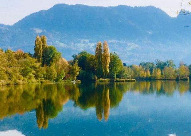 Auenlandschaft bei Diepoldsau Schweiz am
                alten Rheinarm