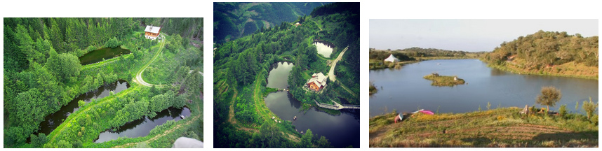 Sepp Holzer installierte Teichsysteme auf
                dem Krameterhof in �sterreich und einen See in Tamera in
                Portugal