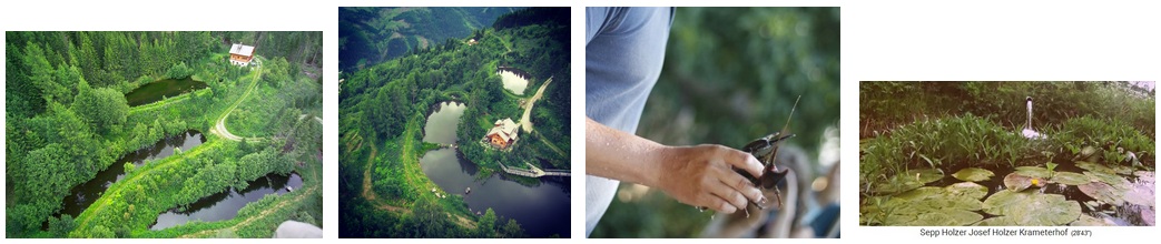 Sepp
                    Holzer's pond systems at his farm
                    "Krameterhof" in Austria