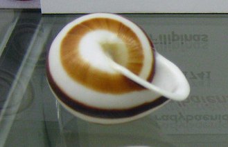 Calocochlia albaiensis, Nahaufnahme