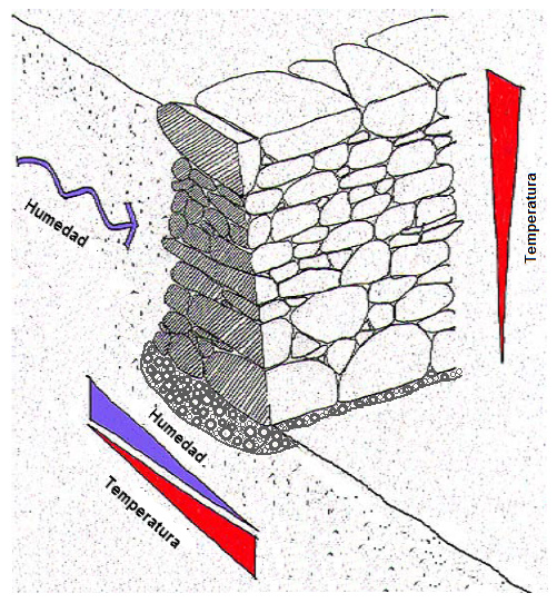 Muro seco en la
                                    pendiente soleada con lecho de grava
                                    y contacto lateral con la tierra,
                                    esquema de Gerhard Stoll con
                                    diferencias de temperatura y
                                    humedad