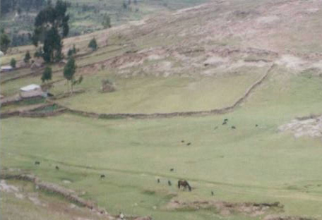 Farm and pasture with horse and dry
                          stone walls in all directions with all
                          microclimates in Millpo, Ayacucho region,
                          Peru