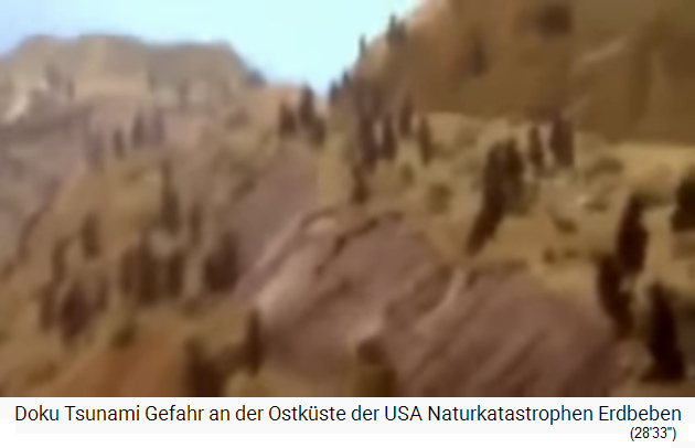 41) La Palma Island: The scenario with a
                      landslide on the western flank of Cumbre Vieja