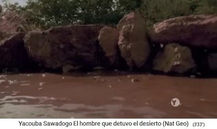 Steinreihen gegen schnellen Wasserabfluss 01