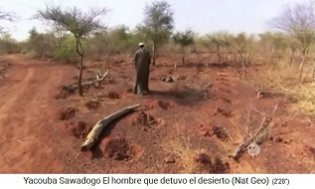 Yacouba Sadabogo legt reihenweise
                      Erdl�cher an