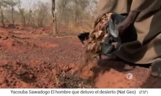 Yacouba Sadabogo f�llt die Erdl�cher mit Dung
                      und Bl�tterkompost auf - Nahaufnahme