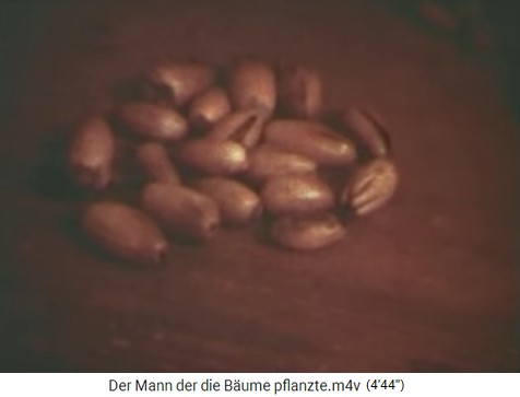 Eicheln,
                    Nahaufnahme