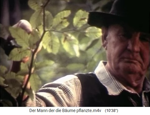 Buchen im
                    Eichenwald 02