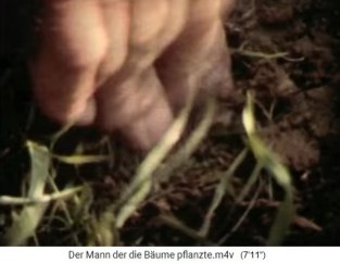 Das Loch mit der Eichel wird
                      mit Erde verschlossen