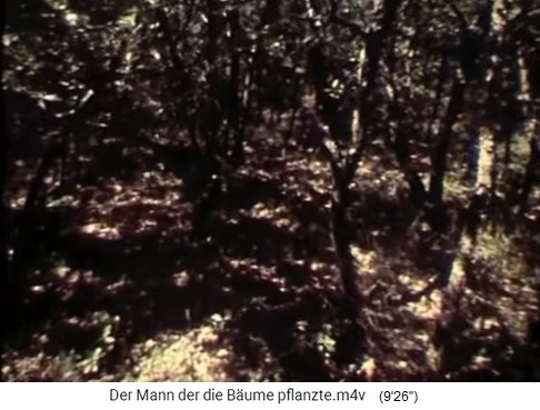 Junger Eichenwald
                    01