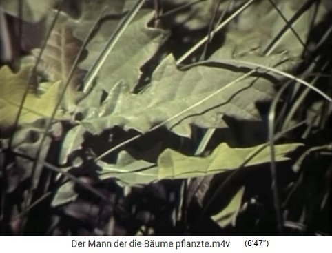 Kleiner
                    Eichenspross 02