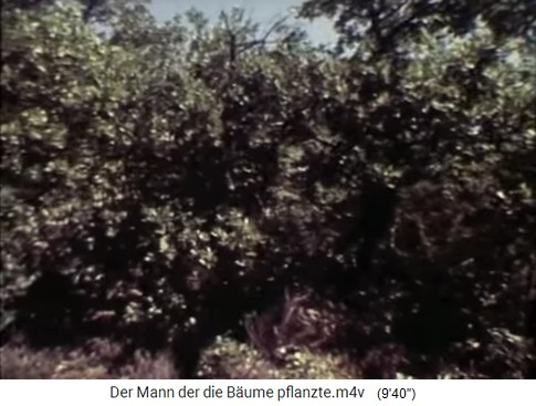 Junger Eichenwald
                    02