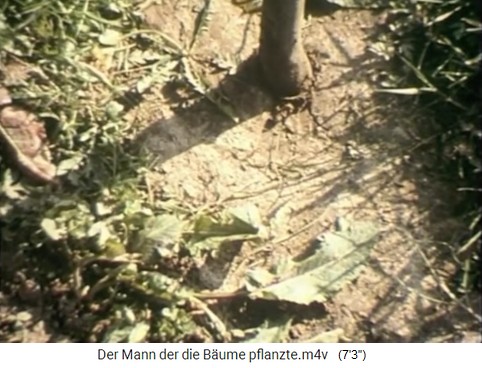 Bouffier macht mit
                      seiner Eisenstange ein Loch f�r eine Eichel 02