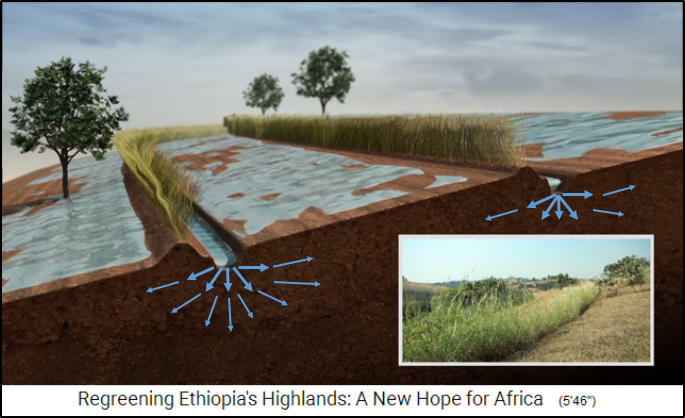 Provinz Oromia in �thiopien: Erdw�lle mit Gras
                    und Gr�ben davor fangen das Regenwasser auf, das
                    dann langsam in den Erdboden sickert