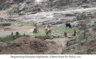 Provincia Amhara: El
                      pastoreo excesivo provoc� erosi�n