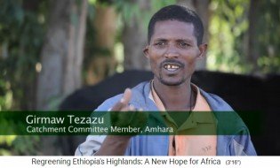 Girmaw Tezazu del Comit� Amhara