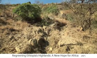En las tierras altas
                    des�rticas de Tigray prevaleci� la erosi�n