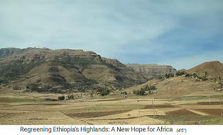 En las tierras altas des�rticas de Tigray
                      prevaleci� la erosi�n - y s�lo monta�as desnudas