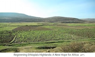 La
                    provincia de Tigray en Etiop�a se vuelve verde de
                    nuevo con la nueva agricultura