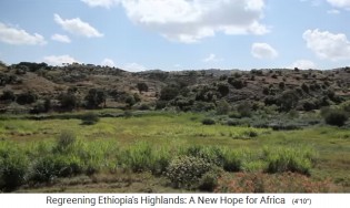La provincia de Tigray en
                    Etiop�a se vuelve verde de nuevo con la nueva
                    agricultura - con laderas boscosas