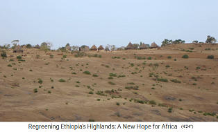 Una aldea en Tigray en el desierto
                      antes de la conversi�n de la agricultura: La gente
                      pens� en mudarse
