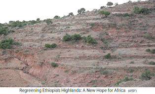 Provincia de Tigray, hab�a
                    antiguas terrazas para la agricultura