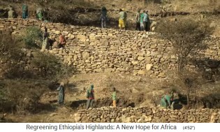 Provincia de Tigray: Las
                    terrazas son de nueva construcci�n 1