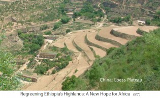 China: Cultivo en terrazas en la meseta
                    de Loess