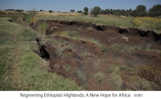 provincia de
                      Oromia en Etiop�a: La deforestaci�n provoca
                      erosi�n