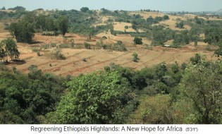 provincia de Oromia
                      en Etiop�a: Plantaciones forestales y presas de
                      tierra en los campos contra la erosi�n