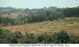 provincia de Oromia
                          en Etiop�a: Los diques de tierra se plantan
                          con hierba para evitar la erosi�n.