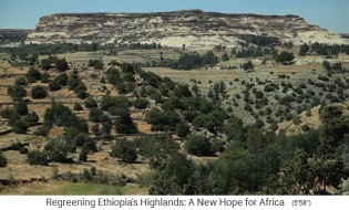 La
                      provincia de Oromia en Etiop�a est� disfrutando la
                      nueva cubierta forestal
