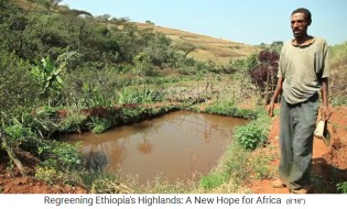La provincia de Oromia en Etiop�a, el
                      agricultor Mezgebu Tadesse tiene un estanque de
                      peces