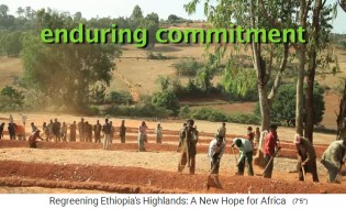 �thiopien:
                        Felder am Hang werden mit Gr�ben und D�mmen
                        erg�nzt 01