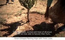 Eine Sch�lerin giesst ihren Baum 01