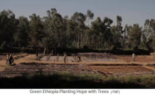 Baumschule 01: Es wird ein
                        Gebiet abgesteckt