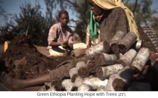 Baumschule 02: Komposterde wird zu
                        Rollen geformt