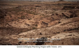 En 2005 el �rea de Boreta
                              Gerado Dengego todav�a estaba desnuda y
                              erosionada