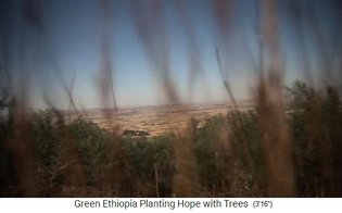 La
                                        tierra cultivada de Boreta
                                        Gerado Dengego