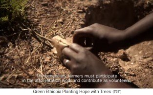 Baum pflanzen 01: Die
                              Schale um die Erde entfernen