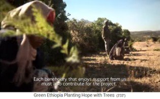 Plantar el �rbol 04: Un grupo
                                  planta los �rboles en una fila