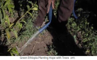 riego de
                        campos del arroyo